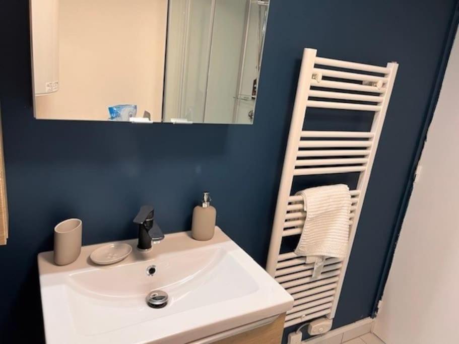 Appartement Calme Entre Ville Et Circuit Льо Ман Екстериор снимка